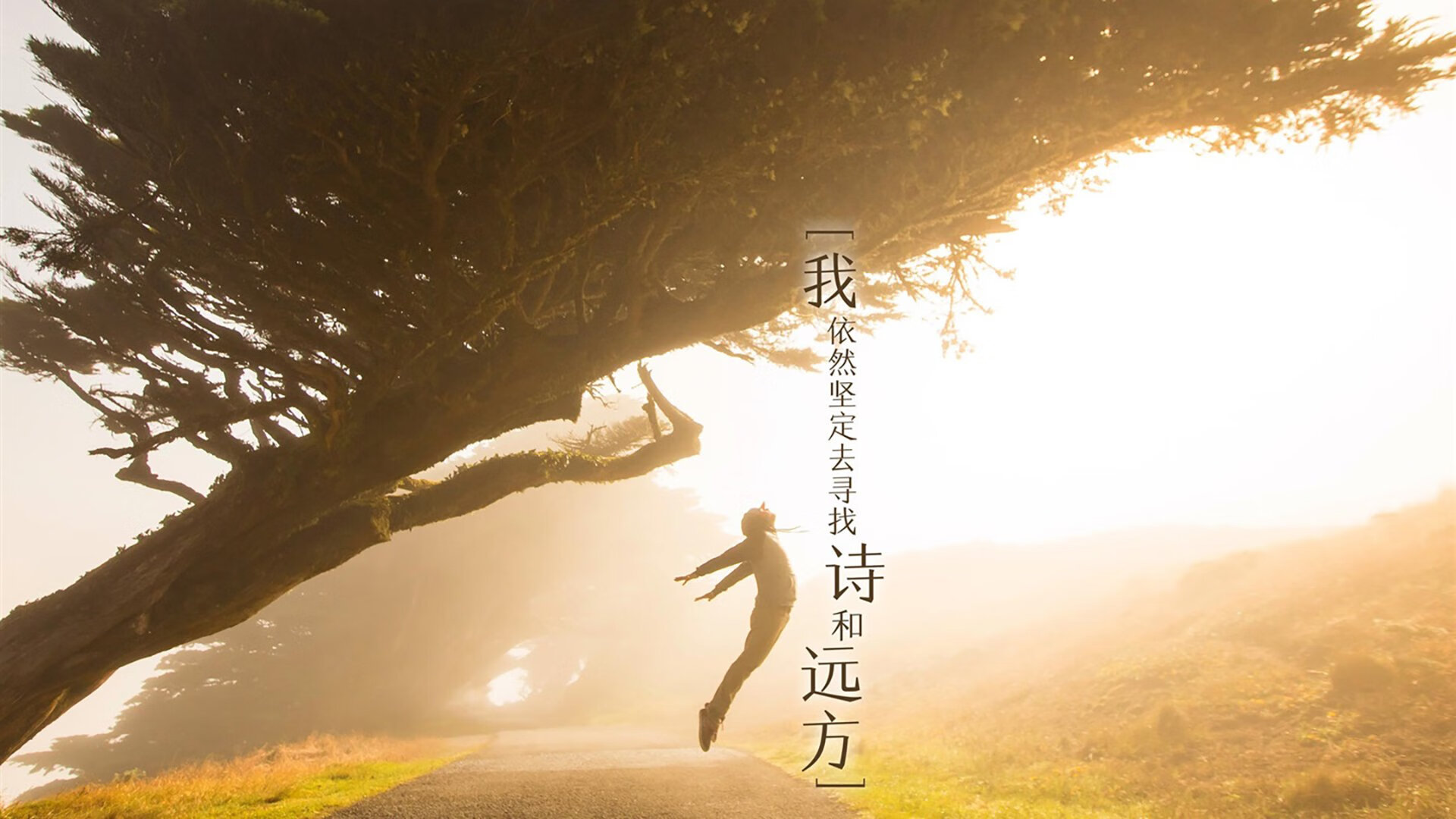 金年会真人-浓眉式统治力！老鹰靠团队篮球全面碾压奇才