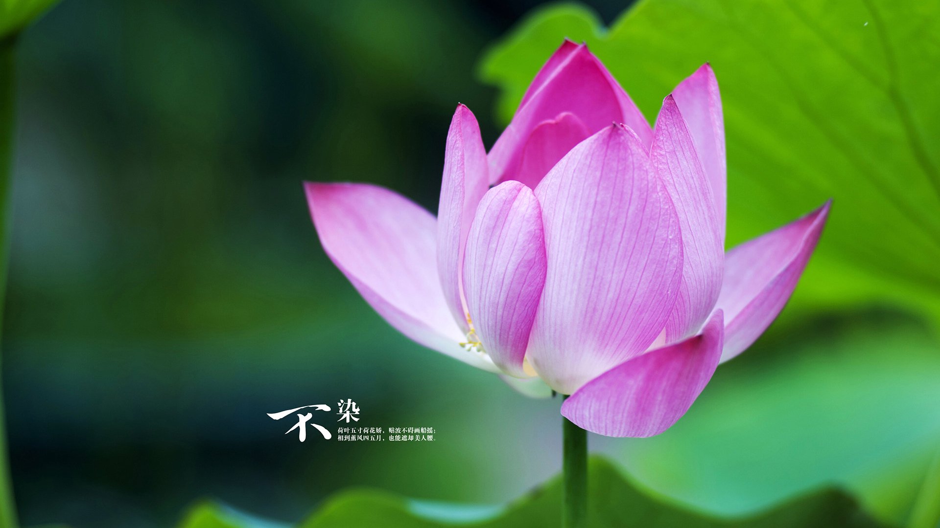 极速之夜与致命一击，新赛季揭幕的竞技哲学