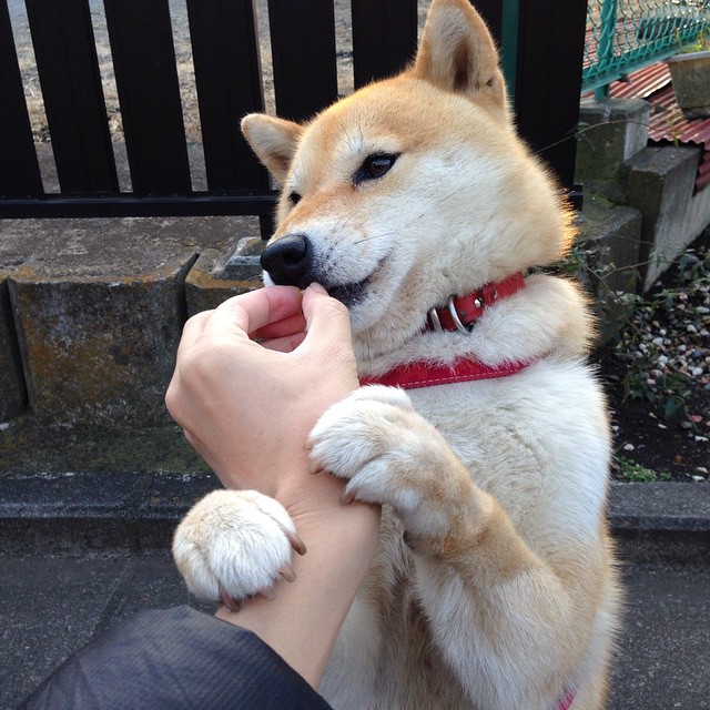 奥运前哨战，76人粉碎国王，球星命运的暗涌与荣光