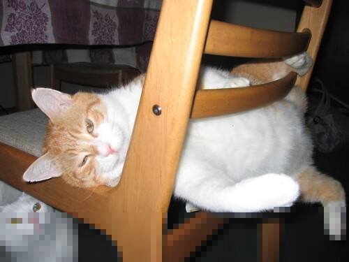 金年会体育-夜战之王，奥亚尔萨瓦尔在年度焦点之夜的统治性表演