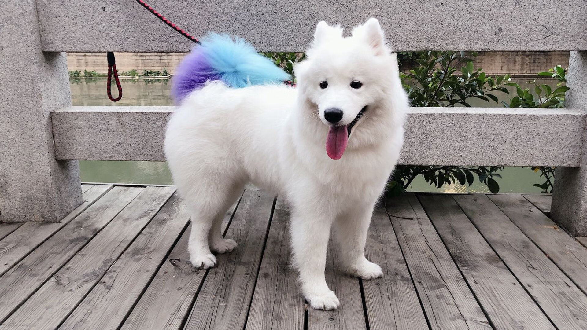 跨洋对决战，恩比德霸气狂砍40+20，用实力回应所有质疑