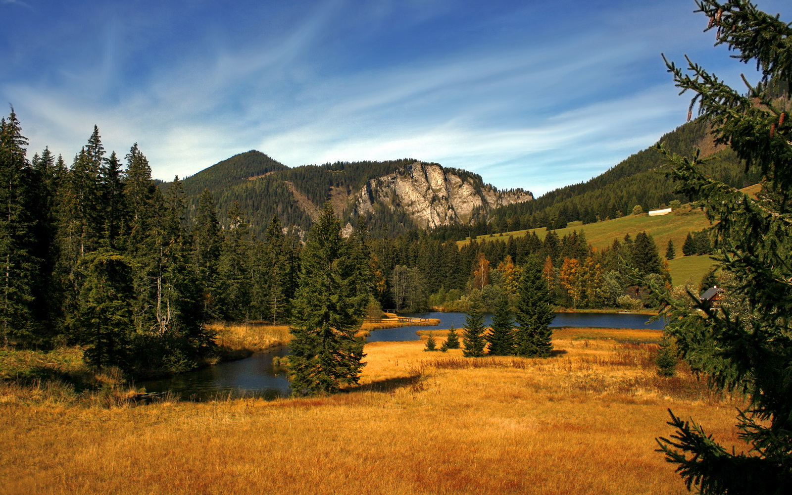 金年会app下载-体育跨界风云，韩国利物浦狂潮与阿劳霍的抢七传奇