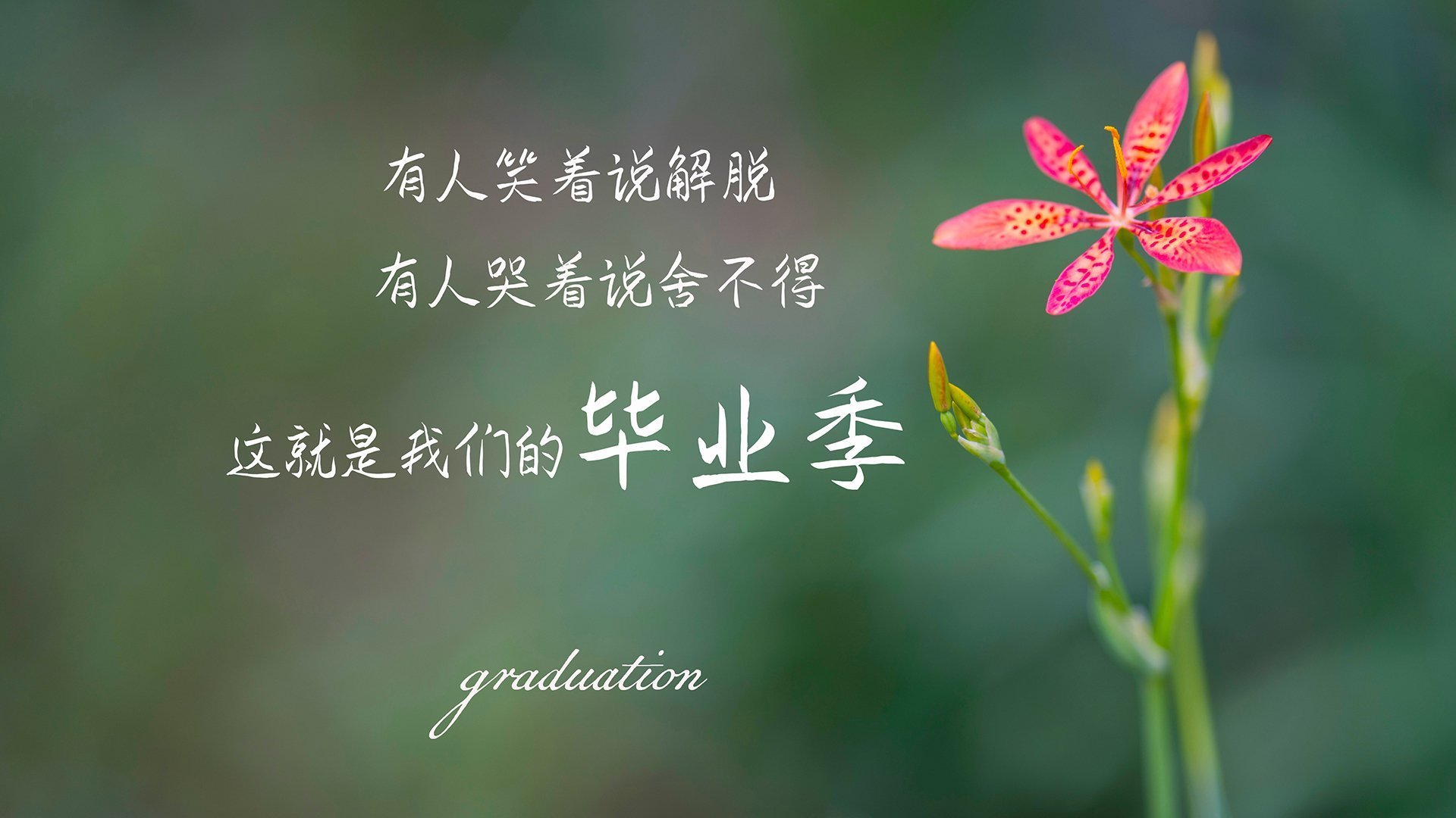 德里赫特，德甲争冠夜的攻防转换之锚