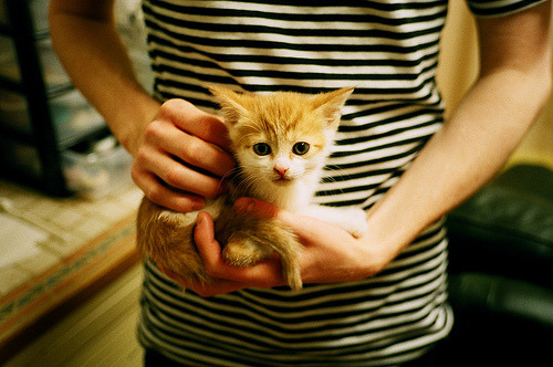 卡塞米罗的王者风范，葡萄牙劲旅与曼城对决中的全场焦点