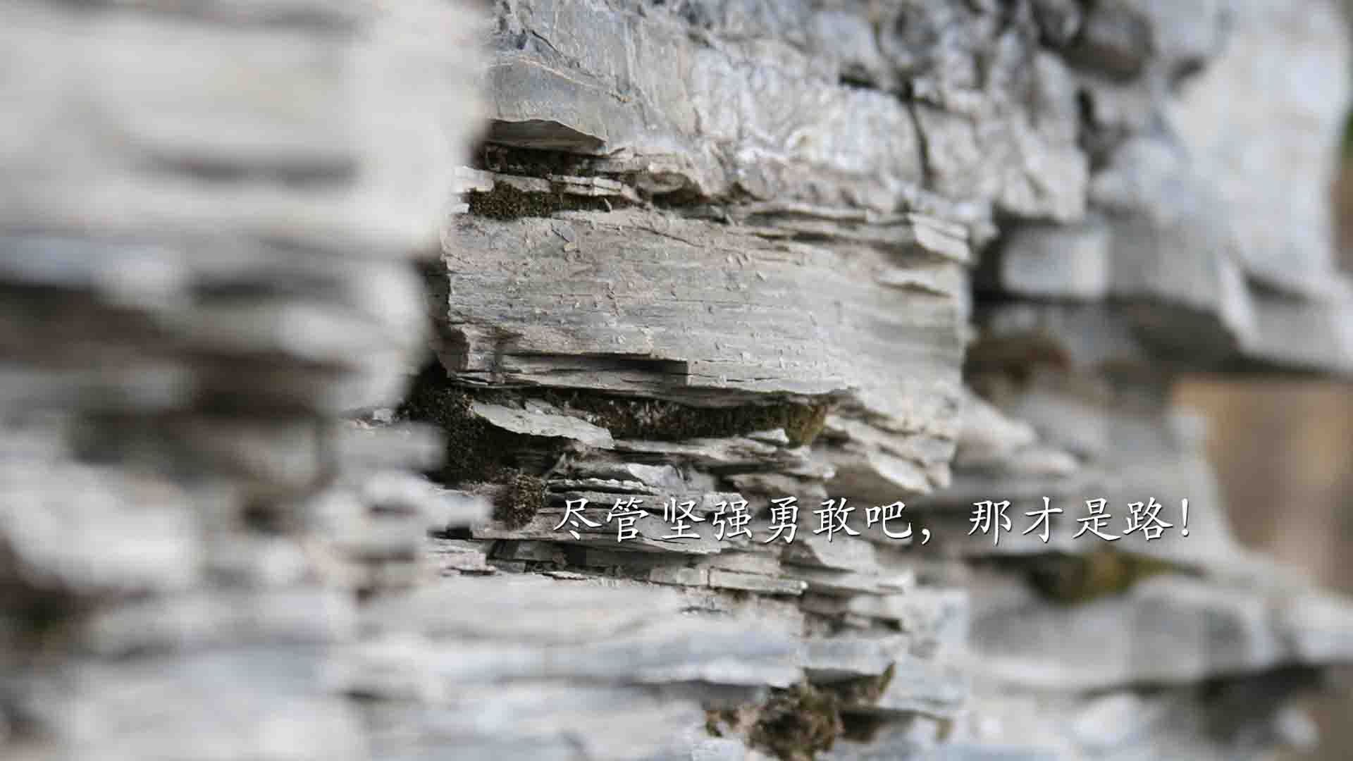 金年会娱乐-淘汰荷兰！比利时昂首晋级，卢卡库稳定输出从不掉线