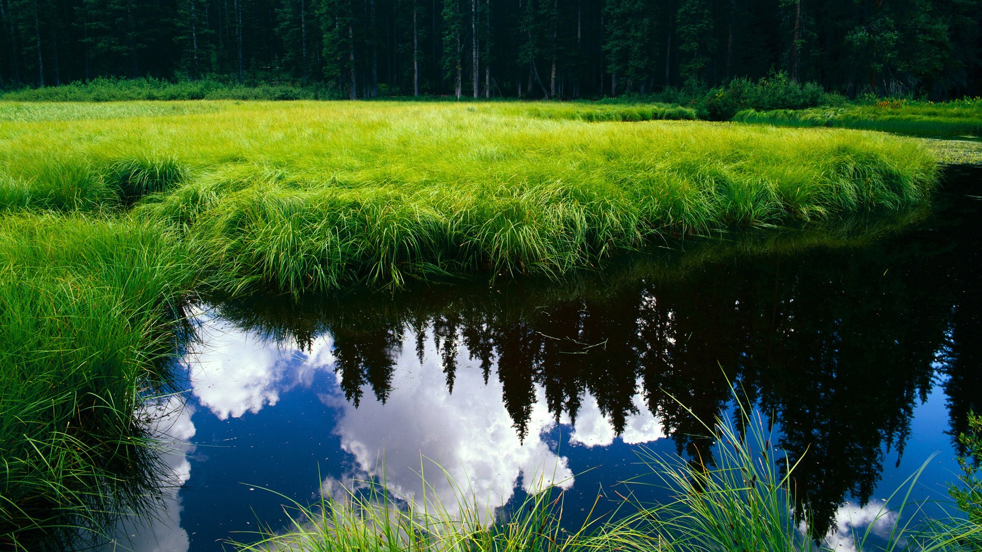 金年会集团-年度焦点之战之夜，黄喜灿个人能力完全展现