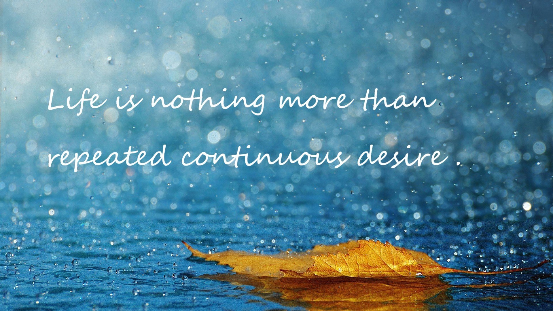 东契奇MVP德比掀翻约基奇，23岁宣告新王时代的降临