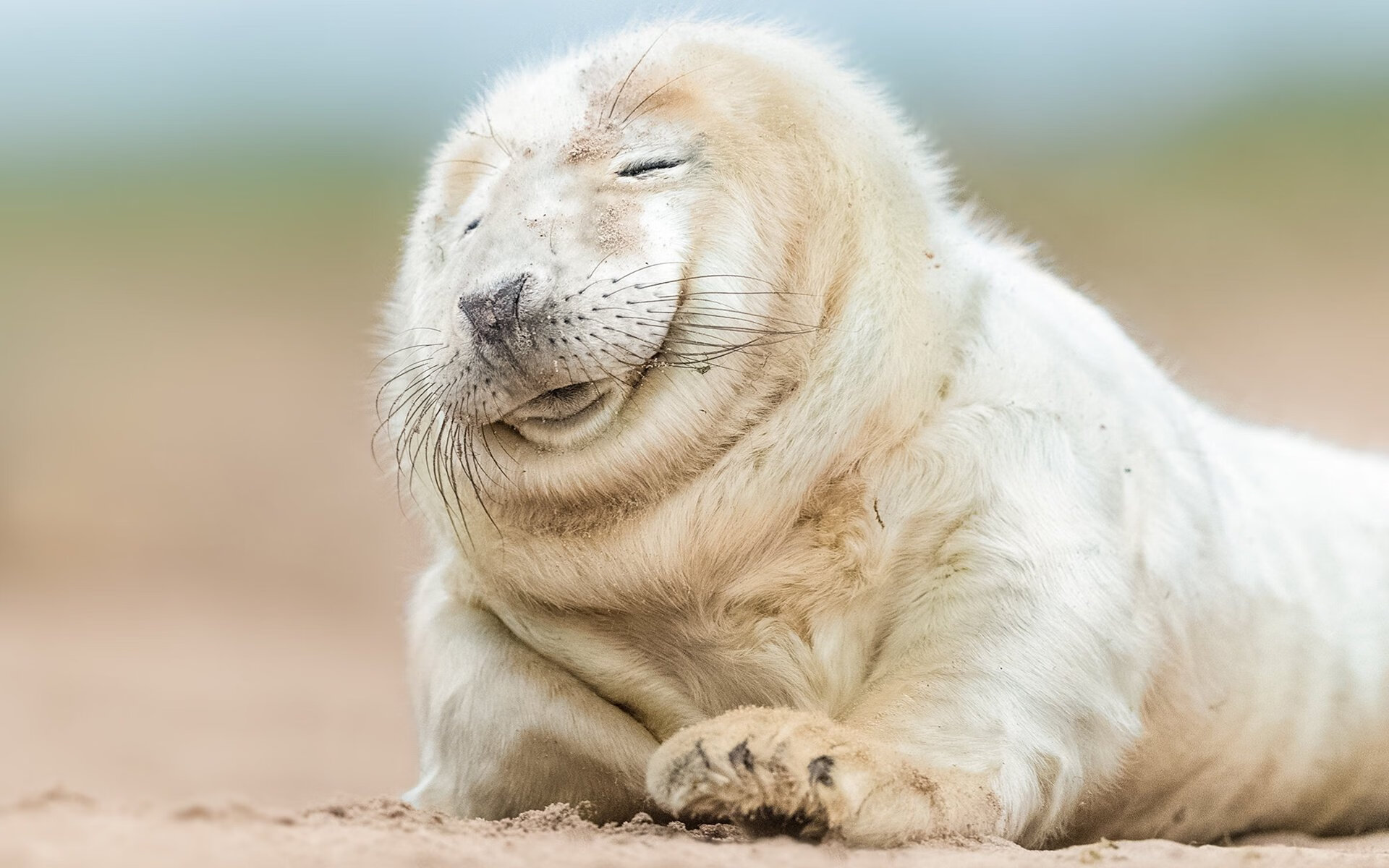 逆转乾坤！爱德华兹剑指30+制胜抢断，活塞绝境逢生