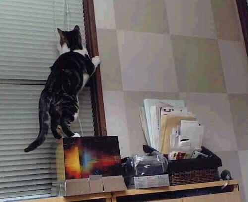 金年会博彩-布雷默双响炮轰塌圣马梅斯，AC米兰客场奏凯彰显战术进化