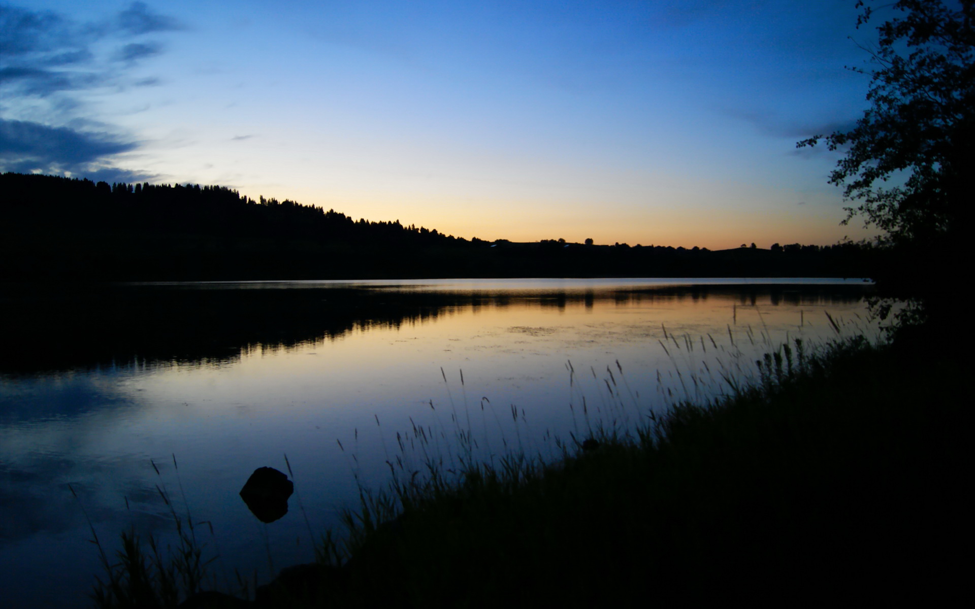 金年会app下载-绿茵教科书，京多安在美加墨之夜定义的足球新章节