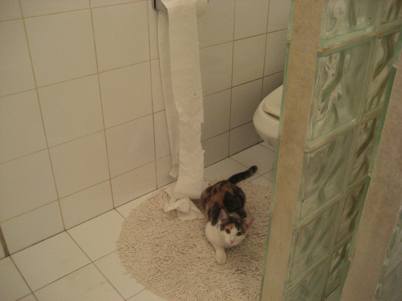 斯通斯爆发破僵局,威尔士压哨定乾坤,一场定义国家精神的胜利