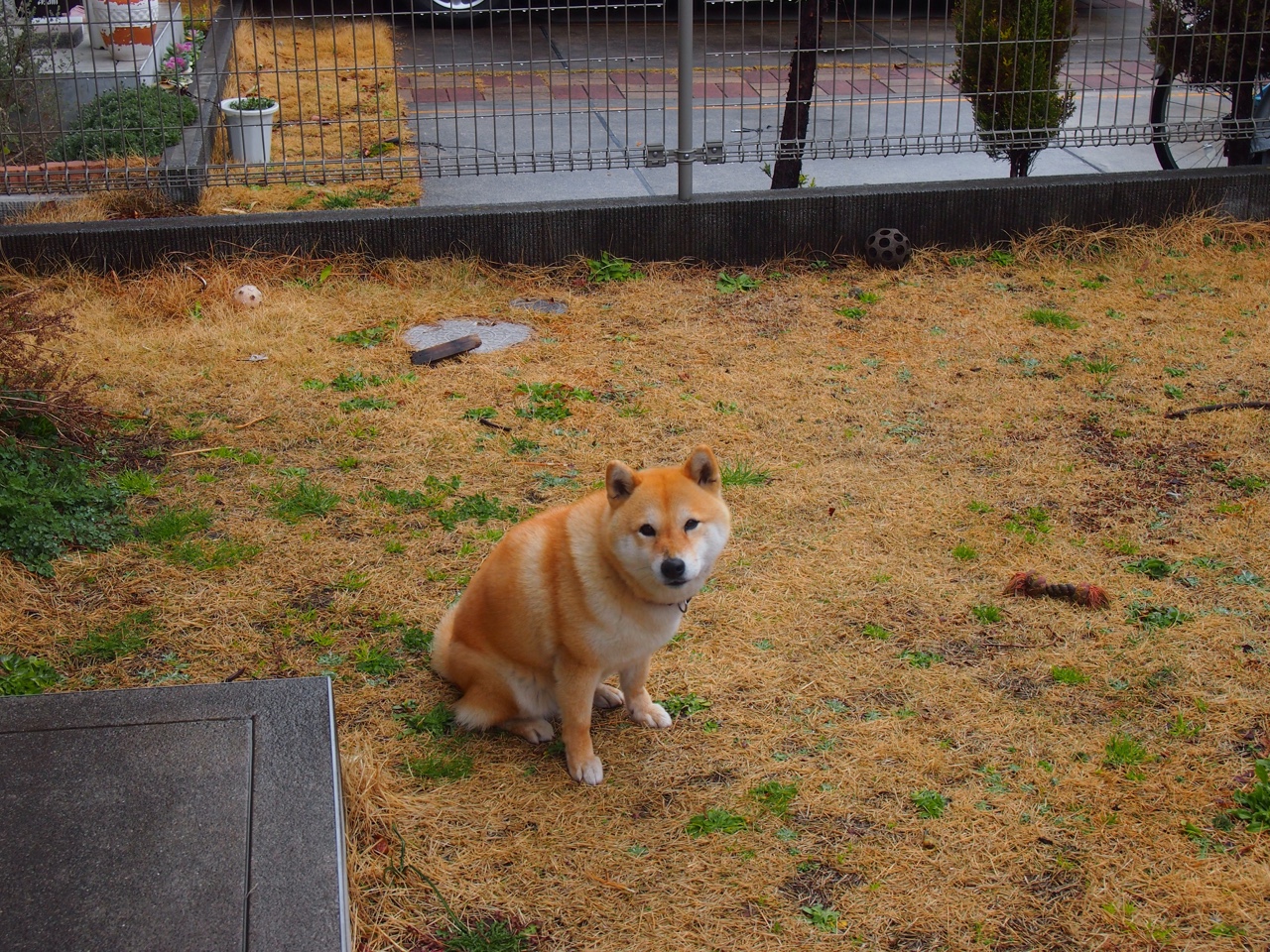 西甲国家德比之夜，恩比德的竞技艺术如何诠释巅峰对决的真谛