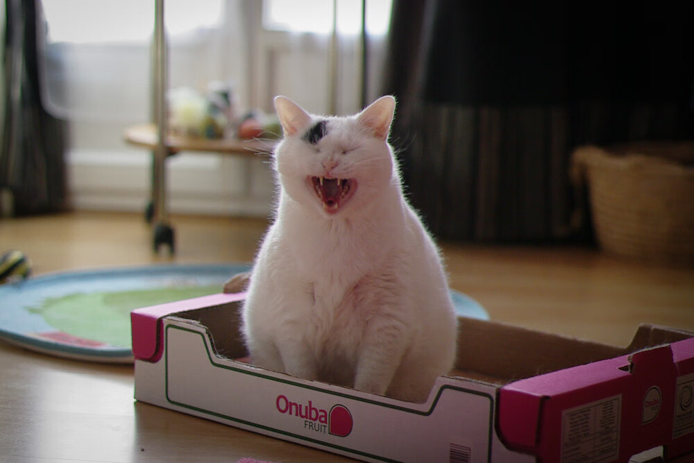 魔笛奏响全面统治曲,土耳其对阵雷恩,莫德里奇数据全面爆炸