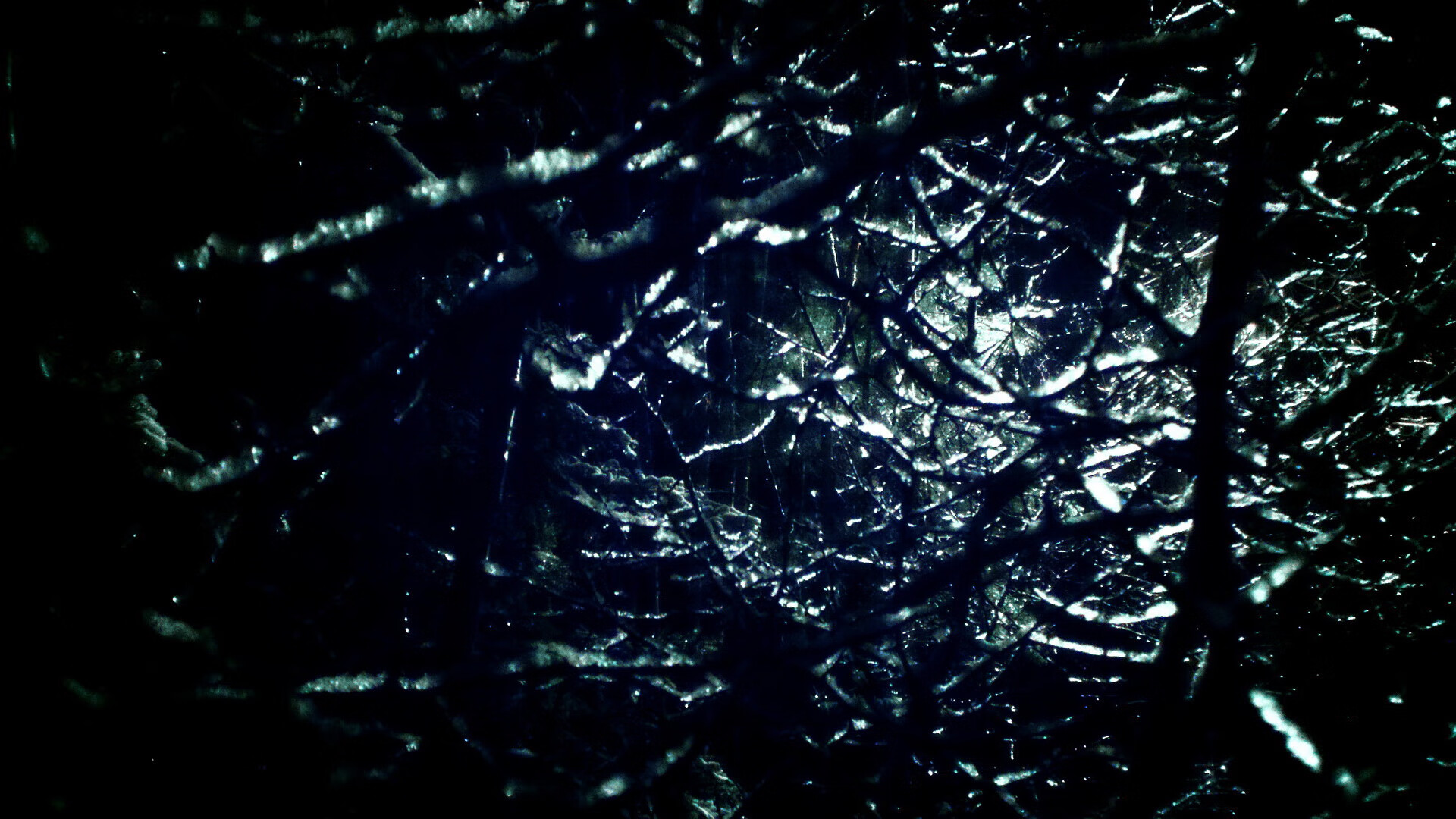 NBA总决赛焦点战,尼日利亚力克英格兰夺冠创历史